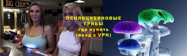 дмт Яранск