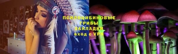 гидра Дмитровск