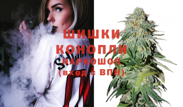 крисы Дмитров