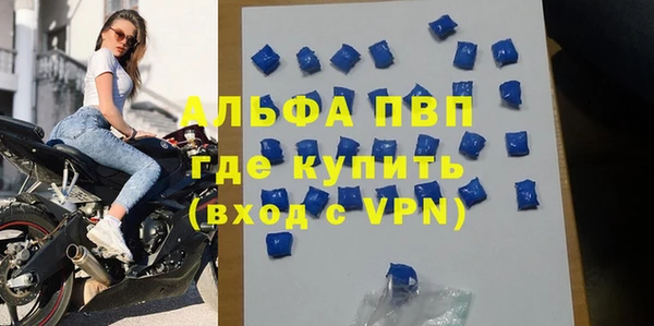 крисы Дмитров