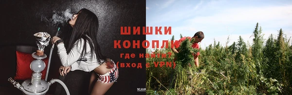 крисы Дмитров