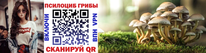 Галлюциногенные грибы Cubensis даркнет как зайти Новоржев
